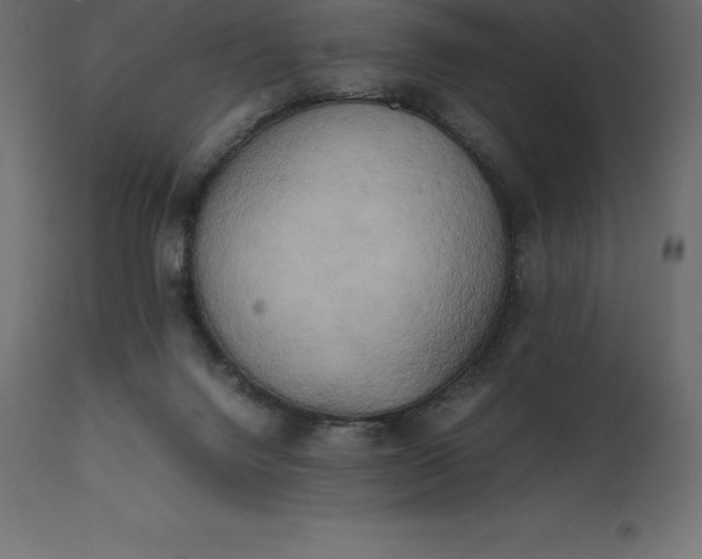 X0000111530072200907281412