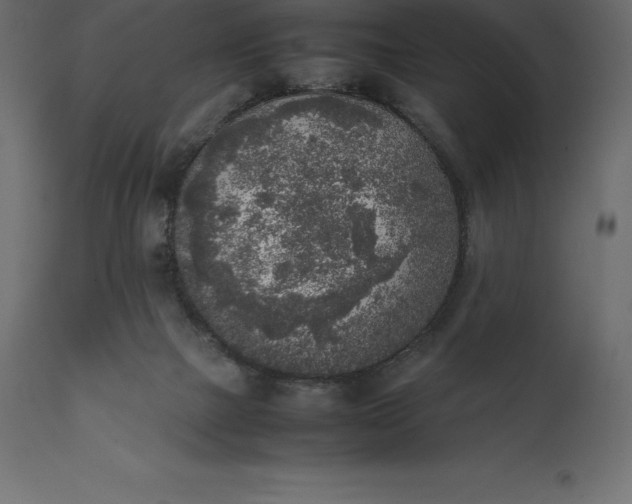 X0000111530073200907281412