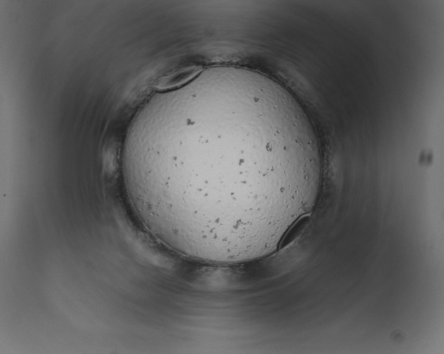 X0000111530074200907281412