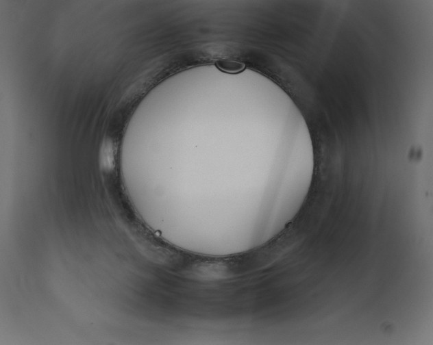 X0000111530075200907281412