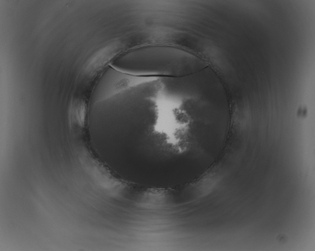 X0000111530076200907281412