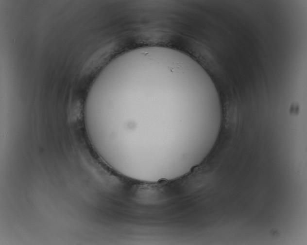 X0000111530077200907281412