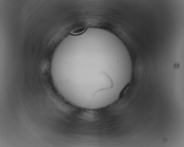 X0000111530079200907281412