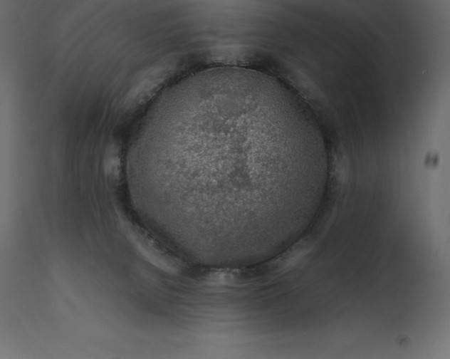 X0000111530080200907281412