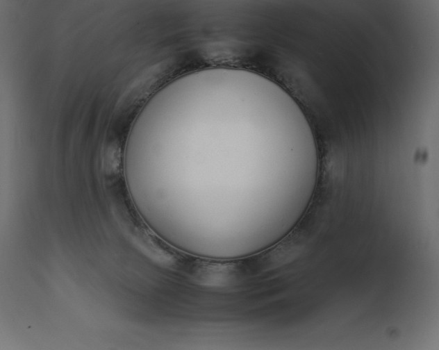 X0000111530081200907281412