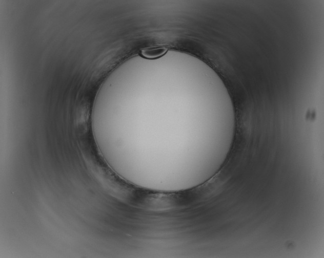 X0000111530082200907281412