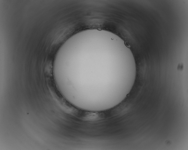 X0000111530083200907281412