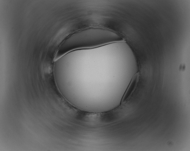 X0000111530084200907281412