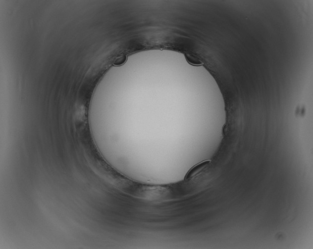 X0000111530087200907281412