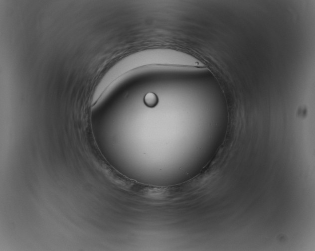 X0000111530088200907281412