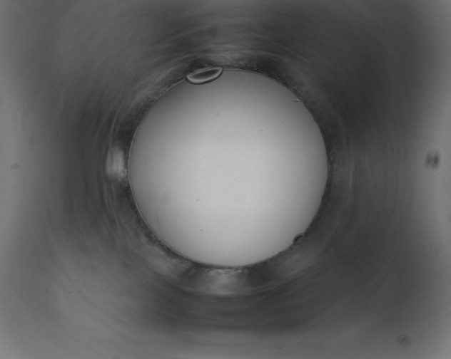 X0000111530089200907281412