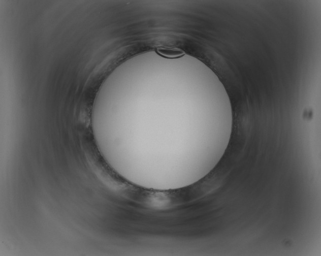 X0000111530091200907281412