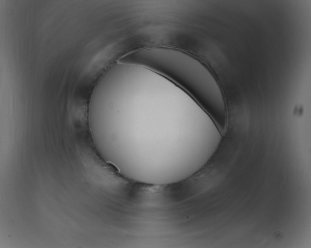 X0000111530092200907281412