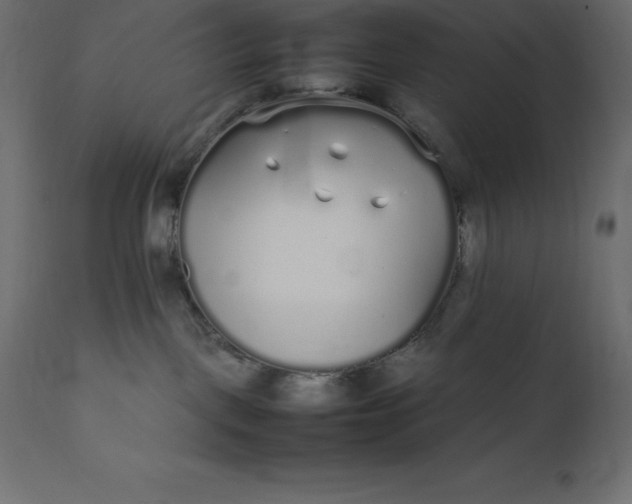 X0000111530093200907281412