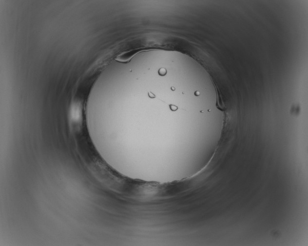 X0000111530094200907281412