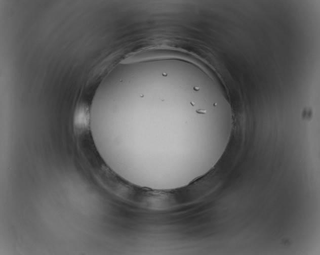 X0000111530095200907281412