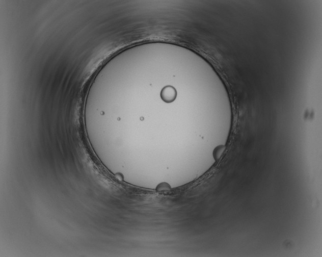 X0000111530098200907281412