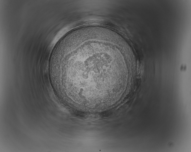 X0000111530099200907281412