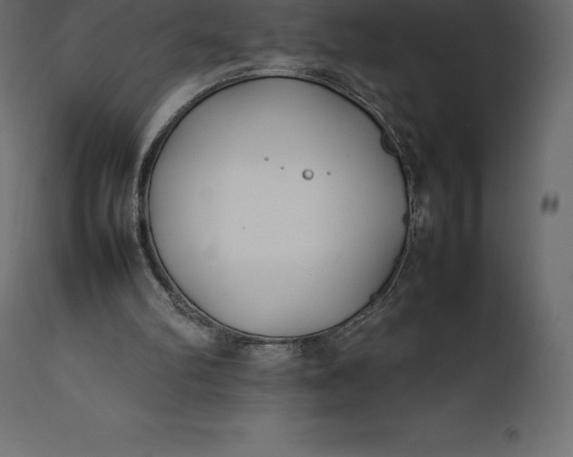 X0000111530102200907281412