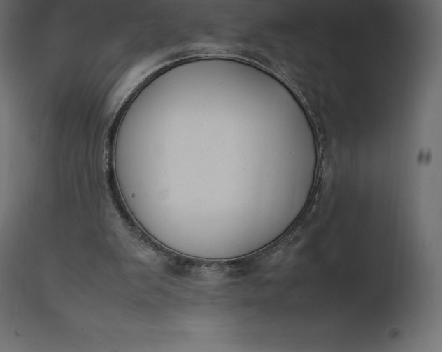 X0000111530103200907281412