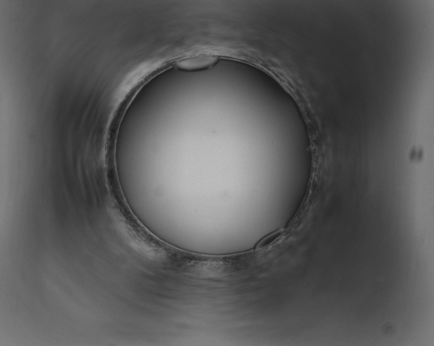 X0000111530104200907281412