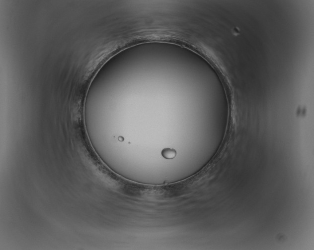 X0000111530105200907281412