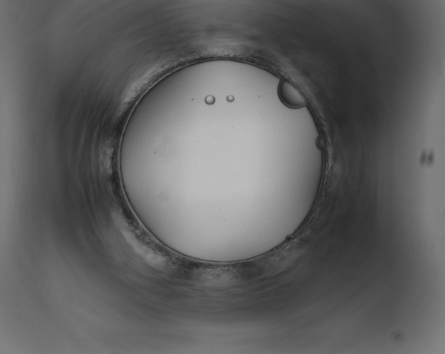 X0000111530106200907281412