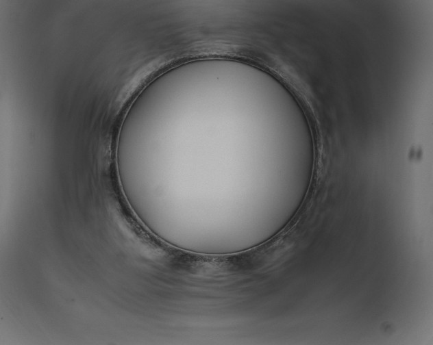 X0000111530107200907281412