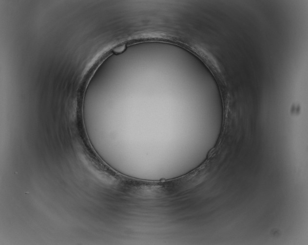 X0000111530108200907281412