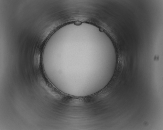 X0000111530110200907281412