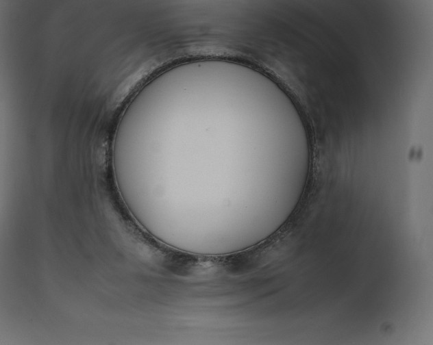 X0000111530111200907281412