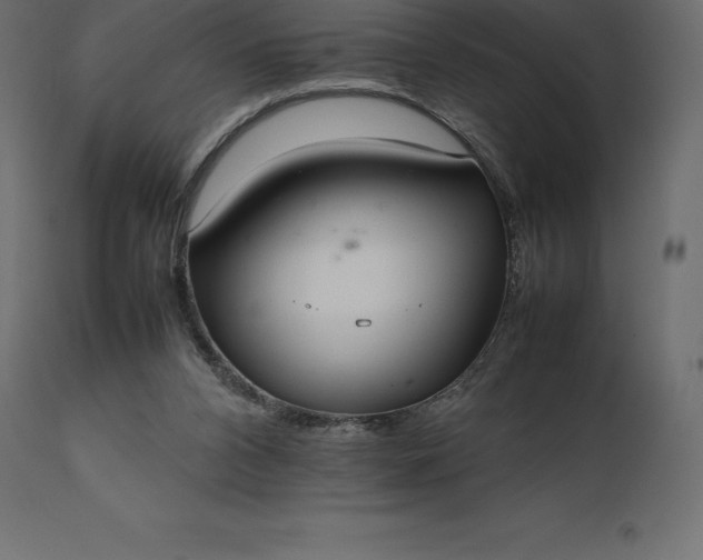 X0000111530112200907281412