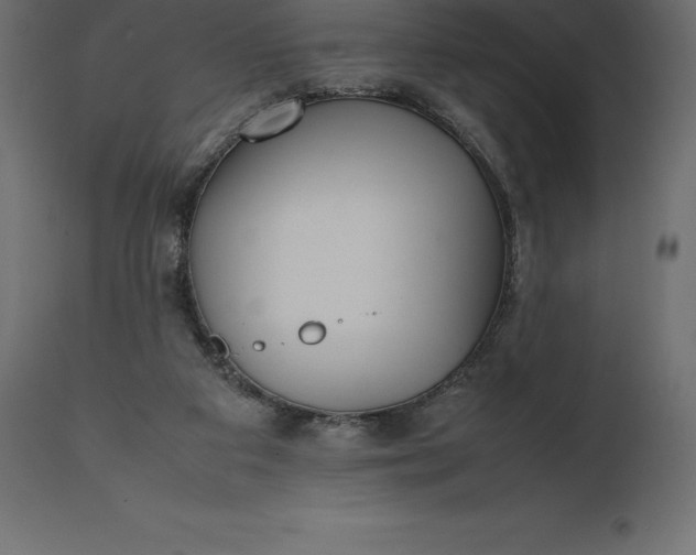 X0000111530113200907281412