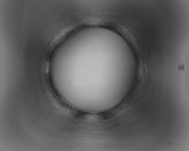 X0000111530115200907281412