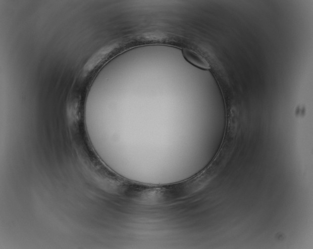 X0000111530116200907281411