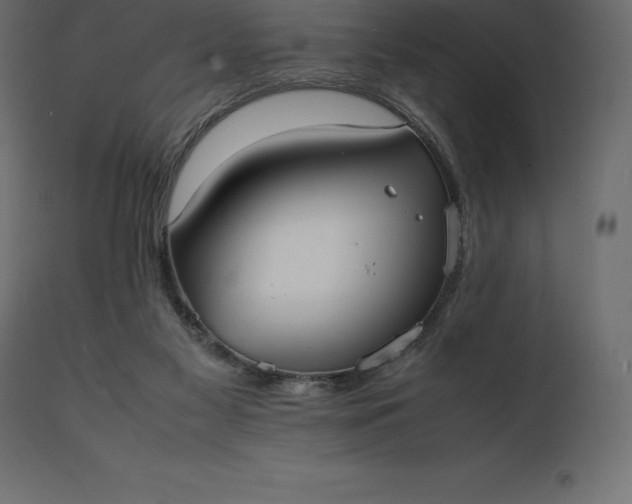 X0000111530117200907281411