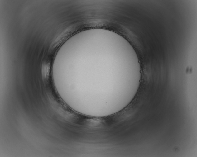 X0000111530118200907281411