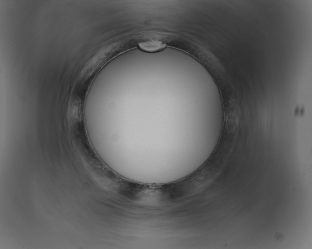 X0000111530119200907281411