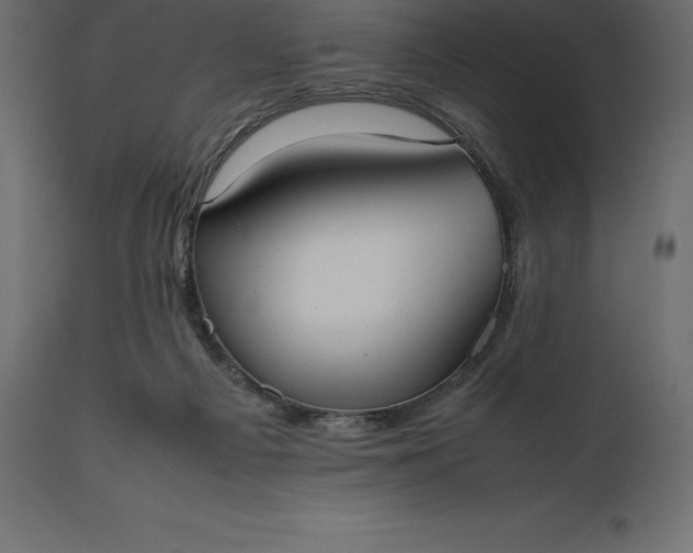 X0000111530121200907281411