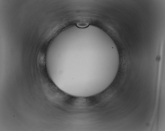 X0000111530123200907281411