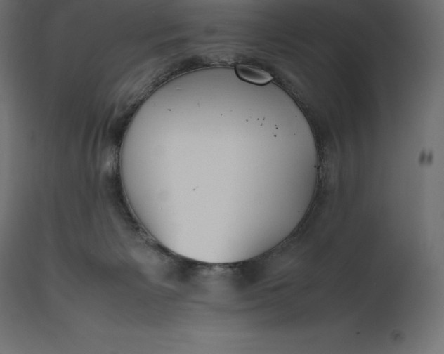 X0000111530125200907281411