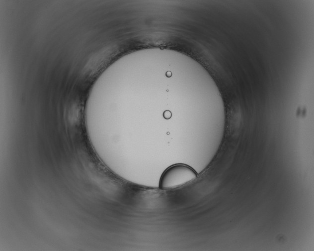 X0000111530126200907281411