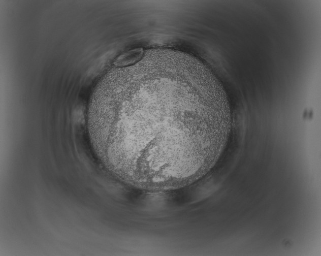 X0000111530127200907281411