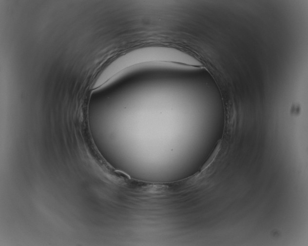 X0000111530128200907281411