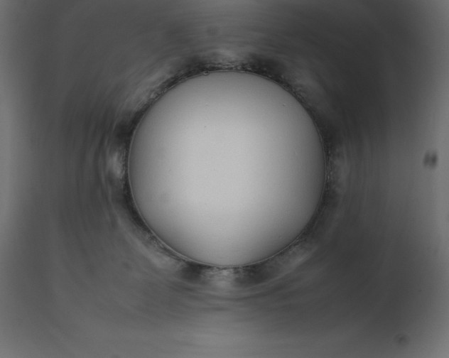 X0000111530131200907281411