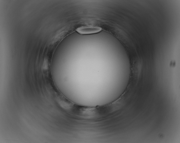 X0000111530132200907281411