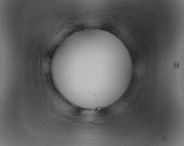 X0000111530133200907281411