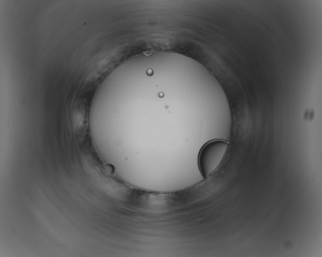 X0000111530134200907281411