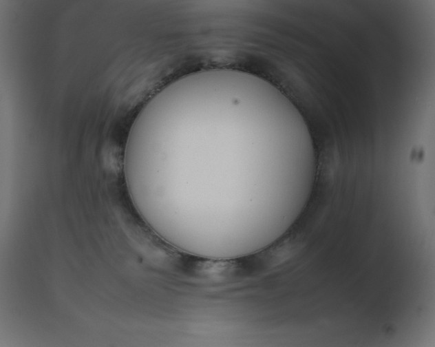 X0000111530135200907281411