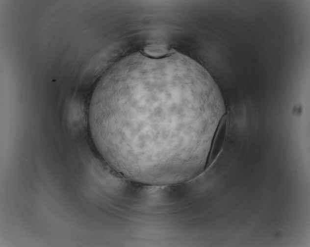 X0000111530136200907281411